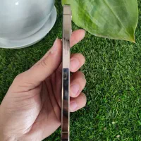 iPhone 12 pro|موبایل|تربت جام, نظامی|دیوار