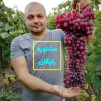 کود کشاورزی پایدار سبزینگی