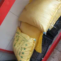 برنج عنبوری دانه بلند کاملا تمیز