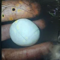 سنگ الماس یا اسیاب