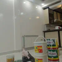 نقاشی ساختمان|خدمات پیشه و مهارت|نسیمشهر, |دیوار