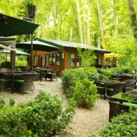 اجاره روزانه و ساعتی کافی شاپ و سفره خانه در کردان