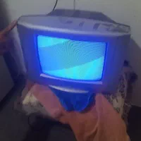 تلوزیون|تلویزیون و پروژکتور|میناب, |دیوار