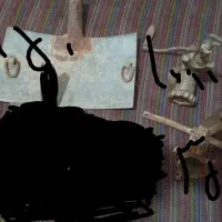 چرخ گوشت دستی قدیمی