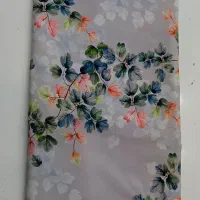 زنونه میزبان یا لبنانی رنگی