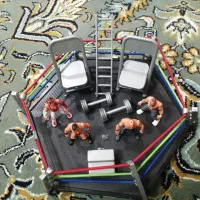 رینگ کشتی کج با همه ملزومات|اسباببازی|تربت جام, جامی|دیوار