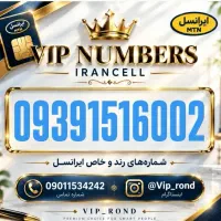 09391516002