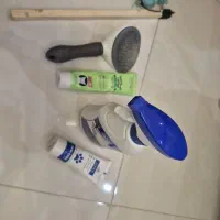 گربه نر شناسنامه دار نژاد اسکاتیش|گربه|اردبیل, |دیوار