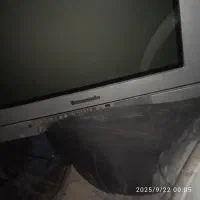 تلوزیون