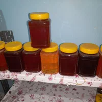 عسل مستقیم از زنبوردار|خوردنی و آشامیدنی|شیراز, تندگویان|دیوار