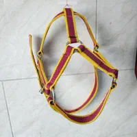 لوازم سوارکاری|اسب و تجهیزات اسب‌سواری|اندیشه, شهرک المهدی|دیوار