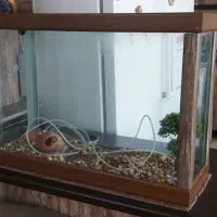 شیشه آکواریوم(باکلاف پی وی سی ضدآب)وکتیبه پرده