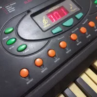 اُرگ سالم بهمراه پایه