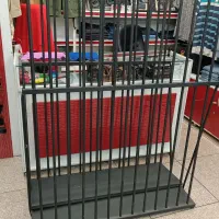 دو عدد رگال عصایی