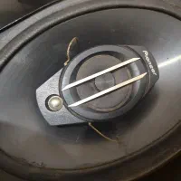 باند پایونر|سیستم صوتی خانگی|فسا, |دیوار