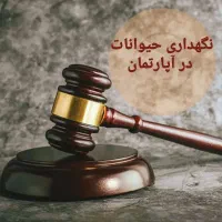 وکیل|خدمات مالی، حسابداری، بیمه|قزوین, |دیوار