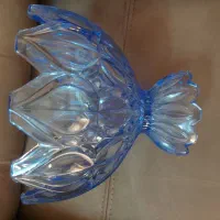 قهوه خوری و میوه خوری چشم گاوی