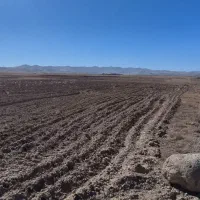 زمین کشاورزی|فروش زمین و ملک کلنگی|زنجان, |دیوار