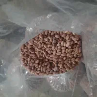 بادام زمینی آجیلی|خوردنی و آشامیدنی|مشهد, چهارچشمه|دیوار