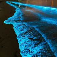 تور6روزه در جزیره زیبای قشم اتوبوسی