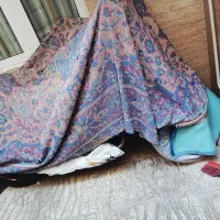 بنلی ۳۰۰ مدل ۹۶وارداتی ۷دونه کار|موتورسیکلت|اسلامشهر, شهرک امام حسین (میان آباد)|دیوار