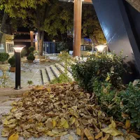 استخدام نیروی کار بلد و حرفه ای