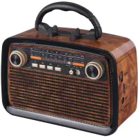 رادیو اسپیکر چراغ‌قوه‌دار کلاسیک به قیمت دبی