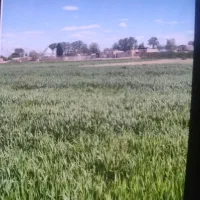 باغ-میوه-ای-با-آب-م-ح-ی-ا-ب-ا-د