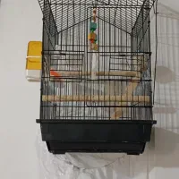 قفس با تمام وسایلش