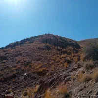 فیش حج عمره