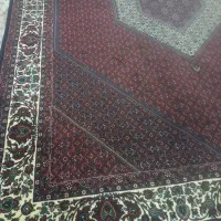 دوعدد فرش لاکی ۱۲ متری ..|فرش|اسفرورین, |دیوار