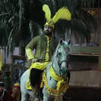 اسب|اسب و تجهیزات اسب‌سواری|هشتگرد, مدرس|دیوار