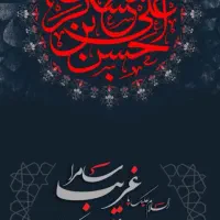 مدیرمالی