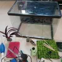 آکواریوم|ماهی|کرج, کلاک نو|دیوار