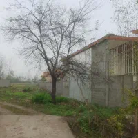 فروش زمین|فروش زمین و ملک کلنگی|رودبنه, |دیوار