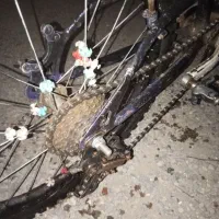 سلام سالم سلمه