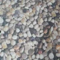 موکت مدل سنگی  ۴۸ متری.