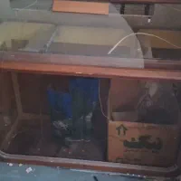 آکواریوم|ماهیگیری|مشهد, پنجتن|دیوار