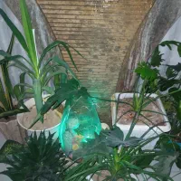 ابنما سنگی|صنایع دستی و سایر لوازم تزئینی|کرج, فاز ۳ گوهردشت|دیوار