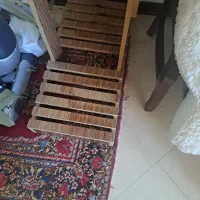 پایه گلدان|گل و گیاه طبیعی|کرمان, |دیوار