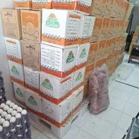 عرضه مستقیم تخم مرغ