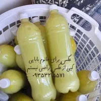 آب لیمو|خوردنی و آشامیدنی|قائم‌شهر, |دیوار