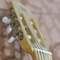 گیتار دالاهو اموزشی|گیتار، بیس، امپلیفایر|گنبد کاووس, |دیوار