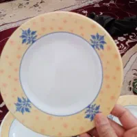 سرویس ملامین ۴۱ پارچ نو