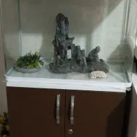 آکواریوم درحدنو|ماهی|کاشان, شهرک خاتم الانبیا (مسکن ملی کاشان)|دیوار