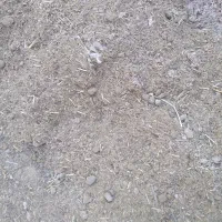 گوسفندی کود