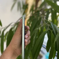 گوشی نوت ۱۲ اس / note 12 s / 256g / باز نشده،دوسیم|موبایل|مشهد, ایوان|دیوار