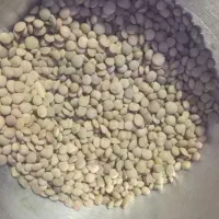 عدس|خوردنی و آشامیدنی|دورود, |دیوار