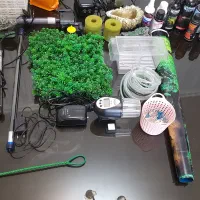 آکواریوم|ماهی|پرند, فاز ۶|دیوار