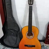 گیتار سالم